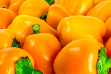 Yellow bell peppers pattern background