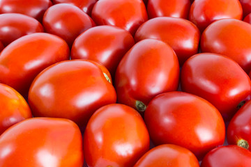 Set of a red tomato for background