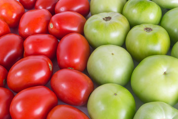 Set of a red and green tomato for background