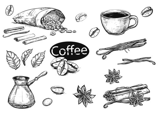 Hand drawn sketch black and white coffee set. Vector illustration of coffee cup, beans, leaf, branch, vanilla, turka, cinnamon. Elements in graphic style menu.