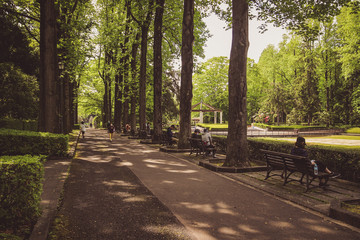 Fototapete bei efototapeten.de bestellen   