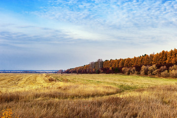Fototapeta na wymiar Agricultural fields after harvesting. Autumn rural landscape. Bright colors of autumn.