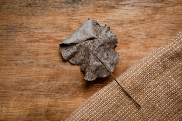 An old, withered twisted leaf from a tree, photographed on a cracked wooden surface. Symbolizes the old and the frailty of everything.