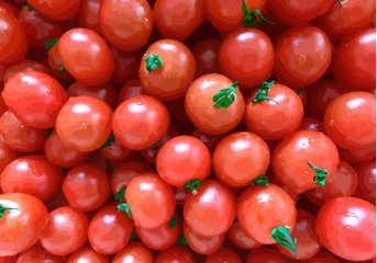 ミニトマト（ライブトレース加工）