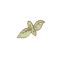 Fresh raw Ripe green sweet Basil herb isolated icon. Spring garden. Rareripes. hastings, farm market, Vector illustration. hand-drawn