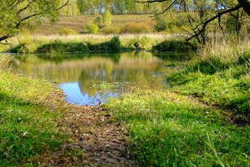 small river overgrown with grass and trees, Russia