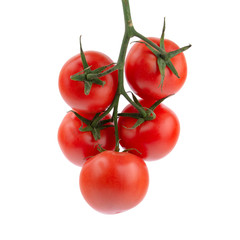 ripe tomatoes on the vine, white insulated background