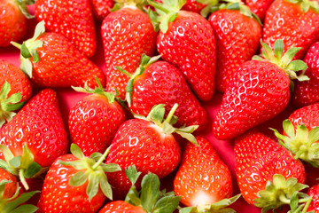 Ripe juicy orgaic strawberries on a red background.