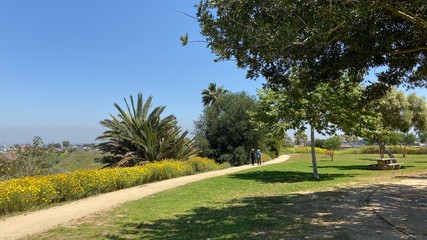 road in the park