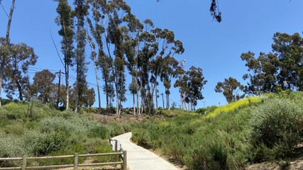 path in park