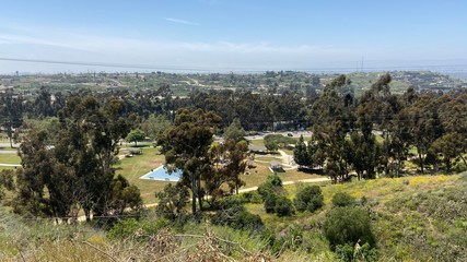 view of the field