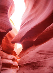 flows in antelope