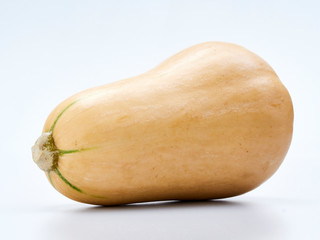 Butternut squash on white background.