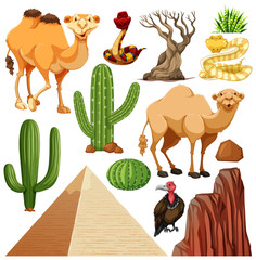 Set of cute desert animal and nature