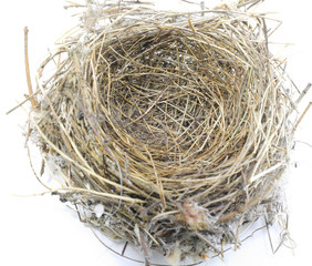 small nest of bird made with straw and twigs together