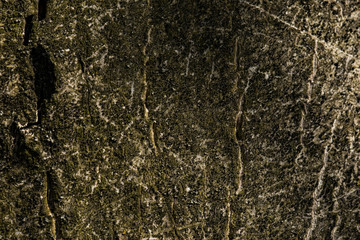 Old woodeen texture for background. Close up.