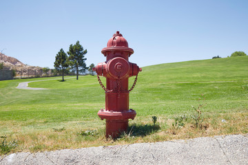 Fototapeta na wymiar Red colored fire hydrant in a beautiful field with green grass