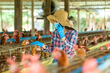 Asian farmers wearing protective mask to Protect Against Covid-19,Farmer hold attention to raising chickens to be quality products on their agricultural farms,Concept of technology for chicken farm.