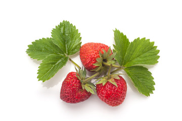 Strawberries with leaves. Isolated on a white background.