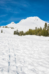 ski track in ski resort area.