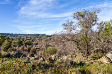 Sierra de Gredos y campos de cultivo desde el cerro de la Zorra en Cebreros. Avila. Espa&ntilde;a. Europa.