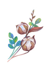 Obraz premium Watercolor Illustration. Can be used as romantic background for web pages, invitations, postcards, textile design, patterns, prints for kitchen, menu, restaurants.Plants. Isolated.