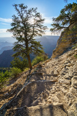 hiking the grandview trail at the south rim of grand canyon in arizona,usa