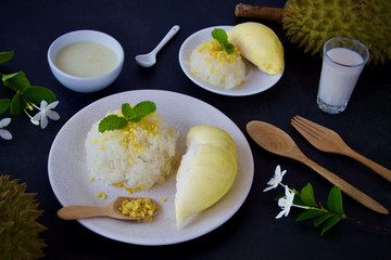 Durian and  sticky rice dessert. Thai food style