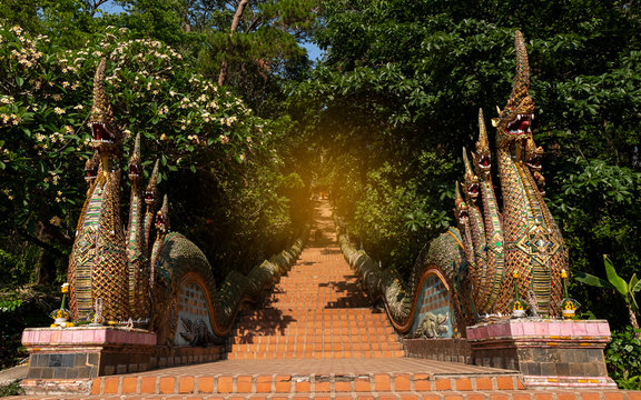 Staircase with 2 Naga stairs up Doi Suthep, Chiang Mai Province, Thailand