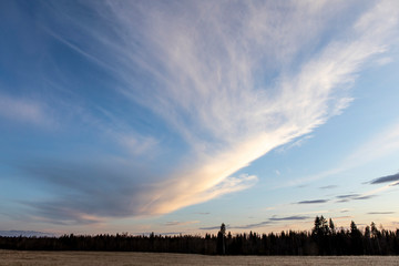 Background and texture of feather clouds on a blue sky.
