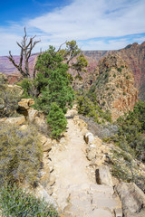 hiking the grandview trail at the south rim of grand canyon in arizona,usa