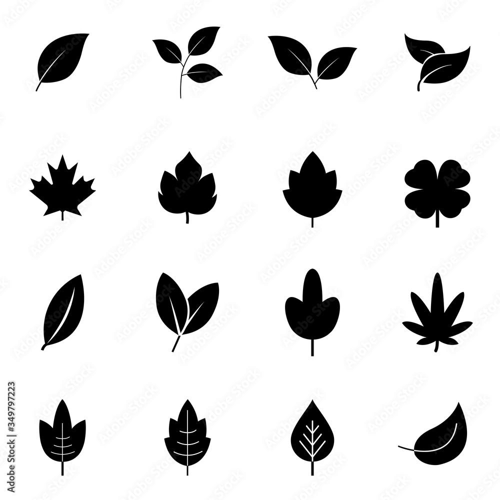 Poster leaves vector set isolated on white background. leaves icon different shapes in modern flat style. v