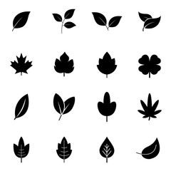Leaves vector set isolated on white background. Leaves icon different shapes in modern flat style. Vector symbol