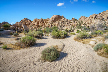 hiking the hidden valley trail in joshua tree national park, california, usa