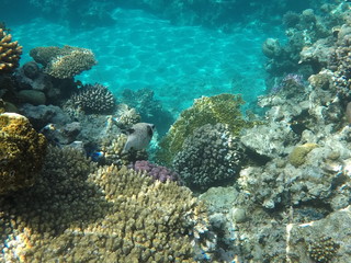 DCIM\100GOPRO\GOPR0653.JPG © Bogdan B