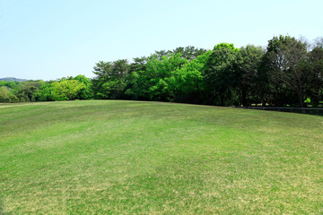 芝生広場　芝生公園　新緑の芝生　新緑の芝生広場　初夏の芝生広場　芝生　広場　新緑　公園　森林公園　青空広場　青空公園　グリーンパーク