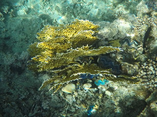 DCIM\100GOPRO\GOPR0657.JPG © Bogdan B