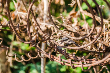 Rusty parts of the fence and spring 