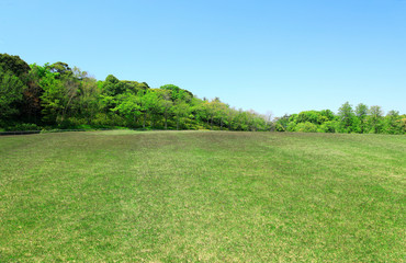 芝生広場　芝生公園　新緑の芝生　新緑の芝生広場　初夏の芝生広場　芝生　広場　新緑　公園　森林公園　青空広場　青空公園　グリーンパーク