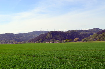 Frühling im Dreisamtal bei Freiburg