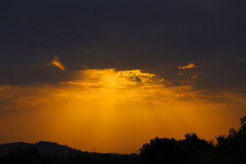 black yellow silhouette image on sunset (sunrise), landscape