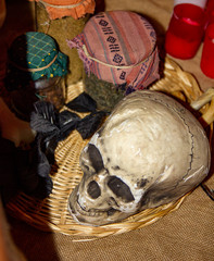 skull