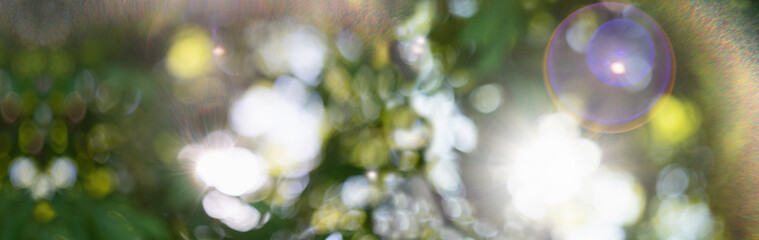 Abstract summer background. Sun glare defocus.