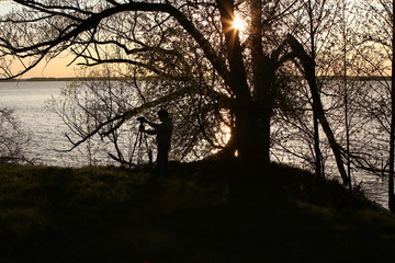 The silhouette of a photographer with a camera on the shore of a lake near a tree in the light of the bright sun with rays fanning out between the branches at sunset.A man takes a photo at dusk.Russia