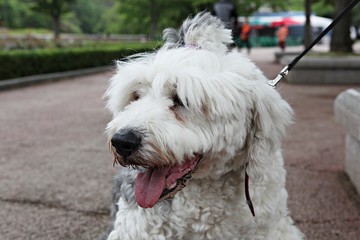 한국 인천시 남동구 인천대공원 입니다