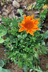 한국 인천시 남동구 인천대공원 입니다