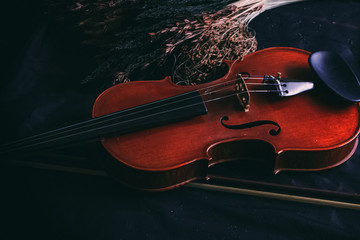 The wooden violin put beside dried flower,on grunge surface background,vintage and art tone