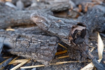 firewood on the fire