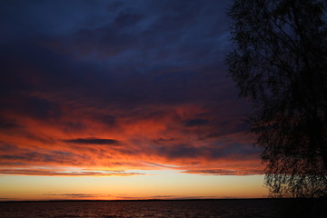 Naklejka na ściany i meble Wild sunset on the lake.Through the branches of the tree, a view of the intensely burning sky with continuous clouds of mixed dark colors over the lake.A bright horizon divides the darkness.Russia