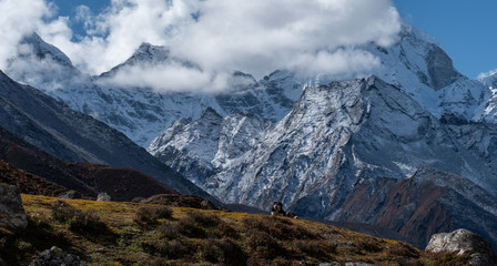 Fototapeta na wymiar The Dog admiring mountain range in the way to mount Everest , Khumbu valley, Sagarmatha national park, Nepal